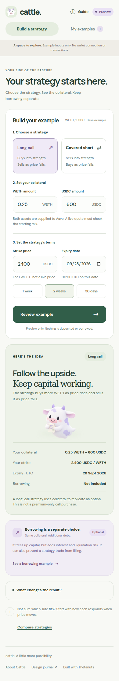 Actual phone builder with both strategy explanations, deposit units and expiry.