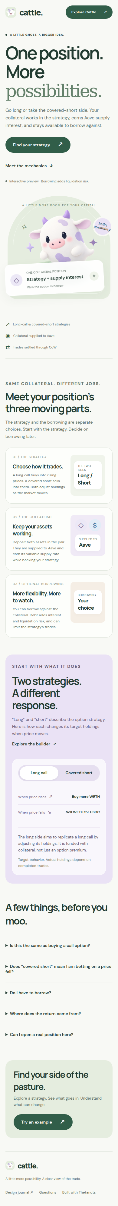 Actual 390-pixel landing page retaining both strategy choices and optional borrowing.