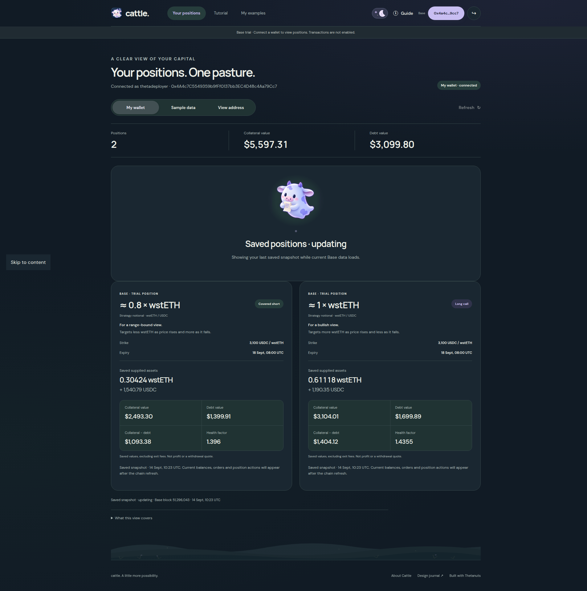 Cached My Wallet positions displayed while current Base data refreshes.